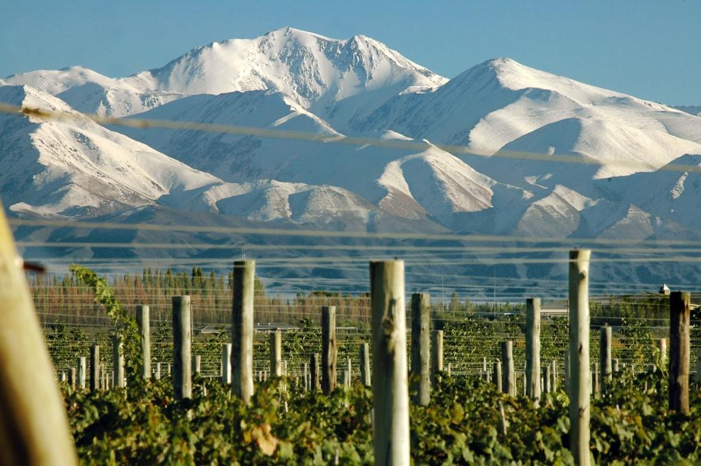 Wineries By Mountain Bike  - Mendoza