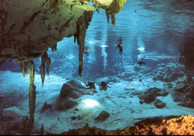 Cavern Diving In The Cenotes Of Riviera Maya - Tulum