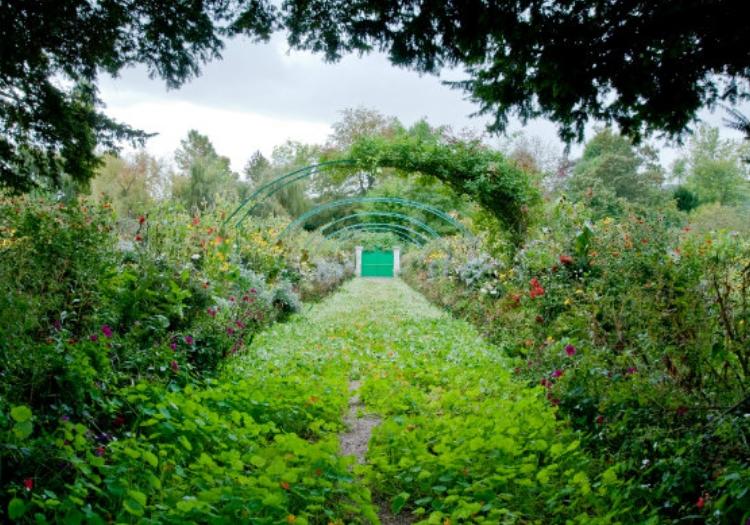 GIVERNY HALF DAY PRIVATE TOUR FROM PARIS