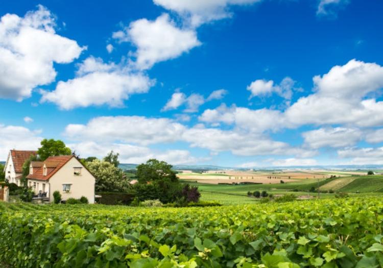 CHAMPAGNE REGION - PRIVATE TOUR FROM PARIS