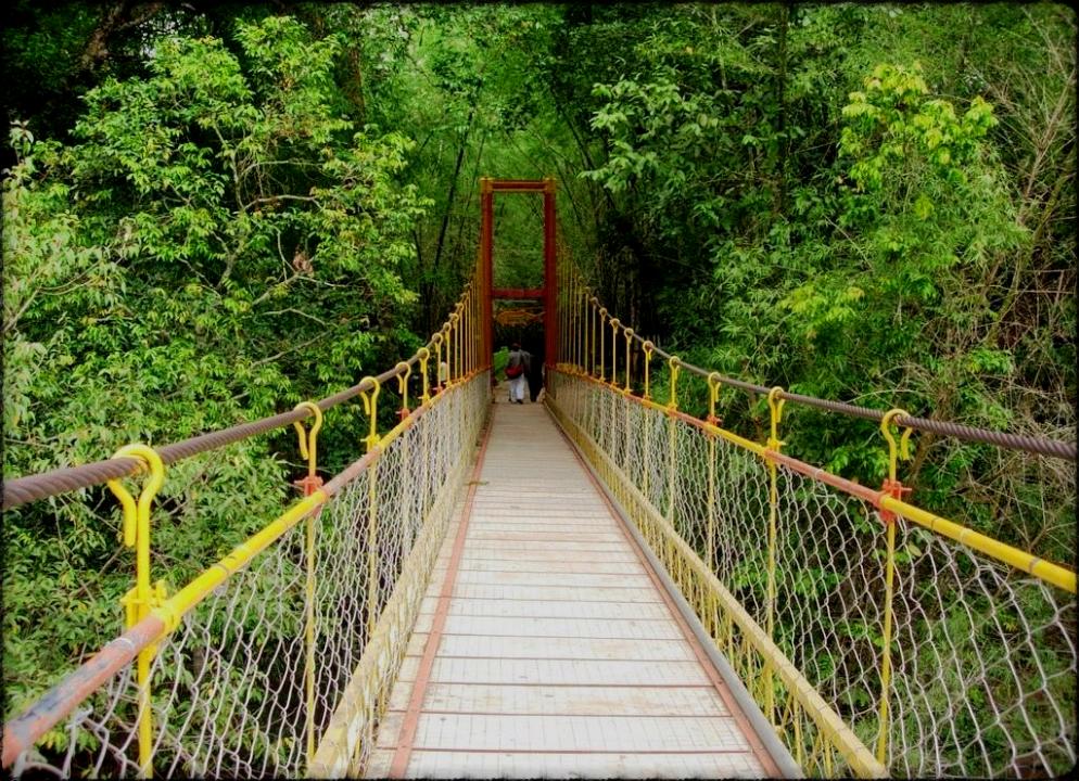 weekend getaways near bangalore - Coorg
