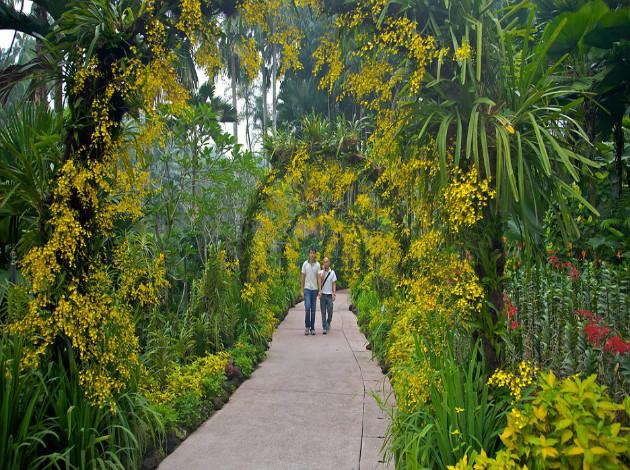 13 Best Botanical Gardens In The World Triphobo