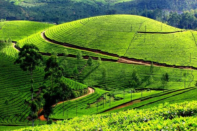 Munnar - Top Hill Station in India
