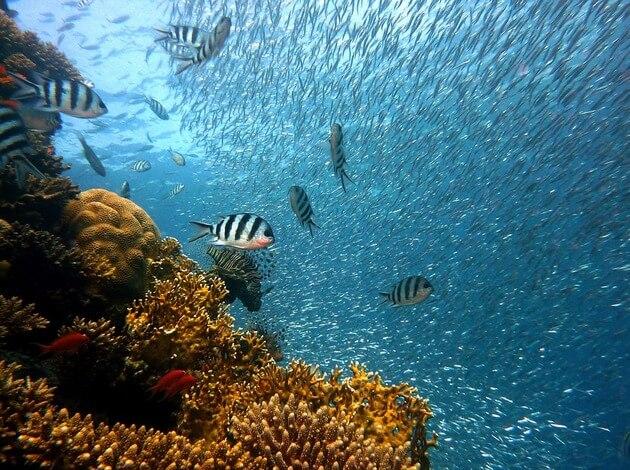 Underwater World Langkawi