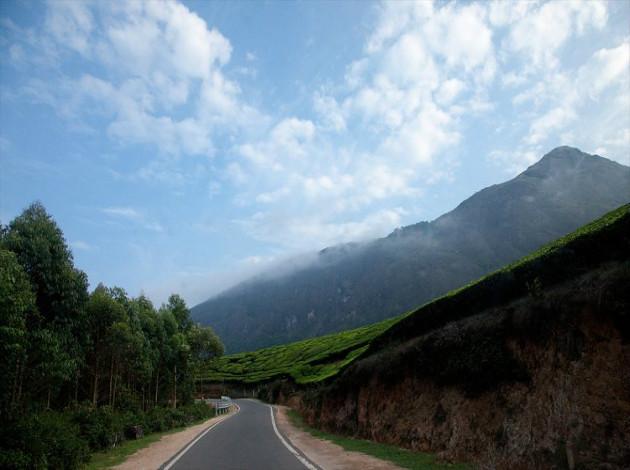 Bangalore to Munnar road trip