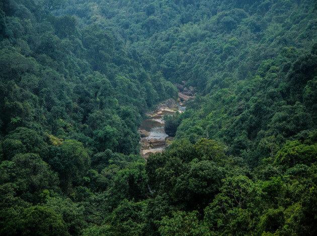 Cherrapunjee - monsoon destination in India