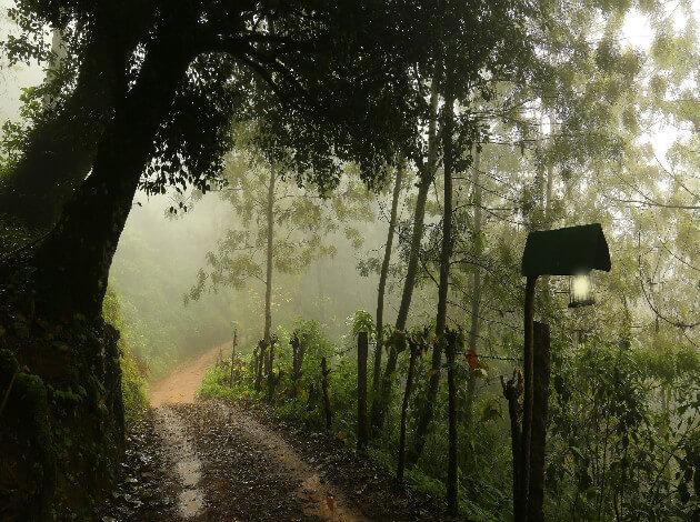 Munnar - a must visit during rainy season