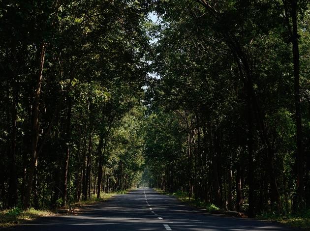 Maredumilli - an unusual monsoon destination near Hyderabad