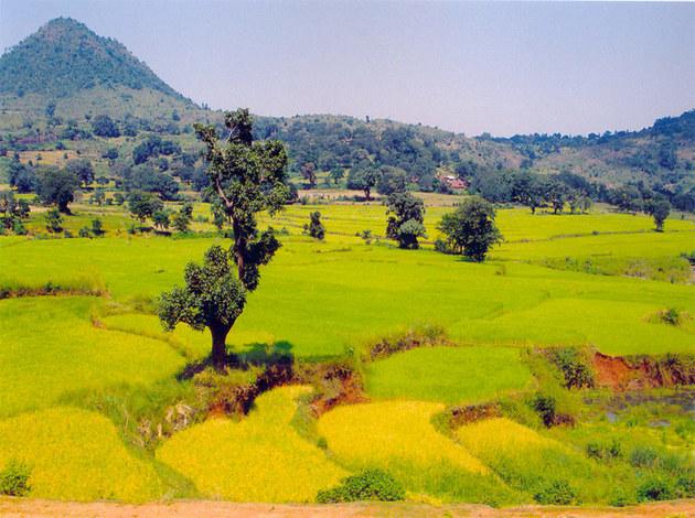 Araku Valley - must visit hill station