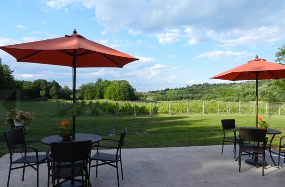 10 Best Wineries And Vineyards In New York: TripHobo