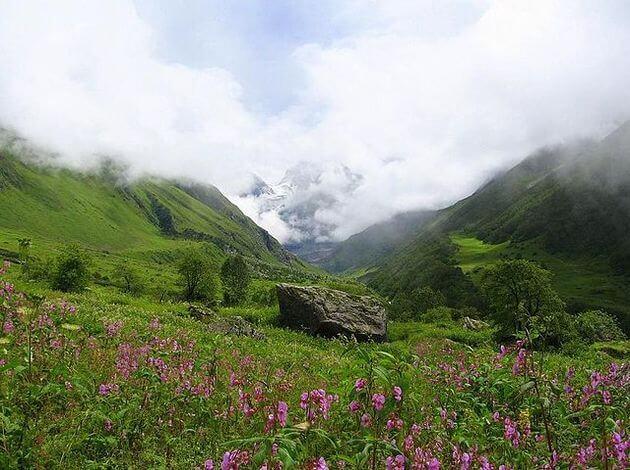 Valley Of Flowers Trek Explore The Paradise On Earth TripHobo   Media Gallery 2016 08 29 13 640px Valley Of Flowers Uttaranchal Full ViewJPG 0f355c87bc0624536cb4d1db52e483bd 