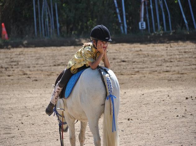 Mocha Luxurious Riding Leggings – La Folie Equestrian