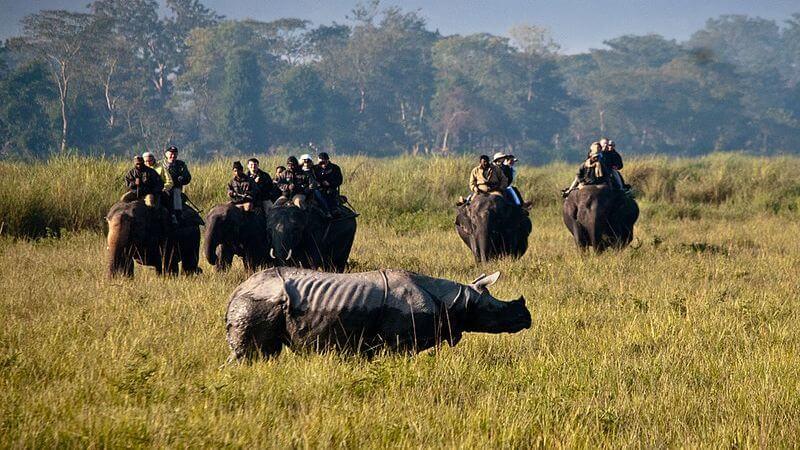 Kaziranga National Park - Places to visit in North East India