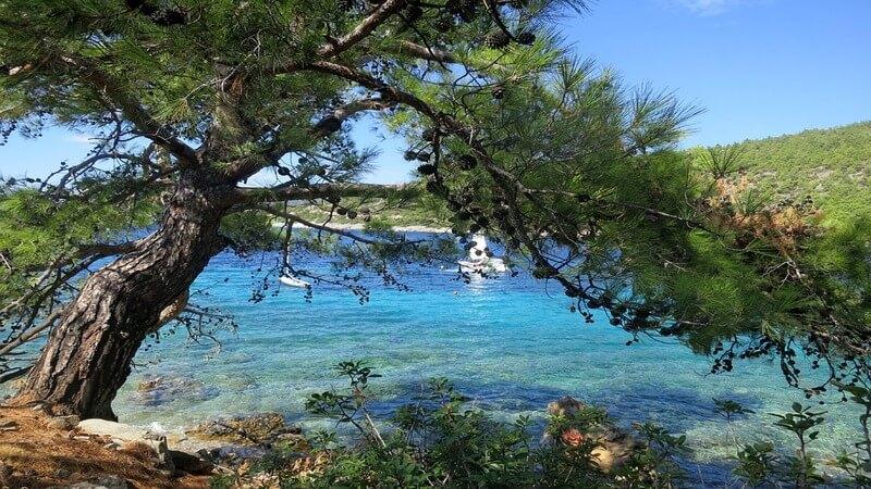 Swim In The World's Clearest Water