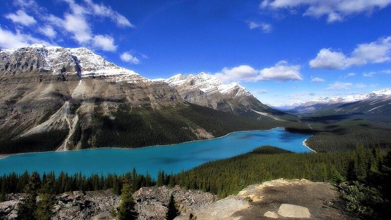 15 Locations With Clearest Waters To Swim In The World: TripHobo