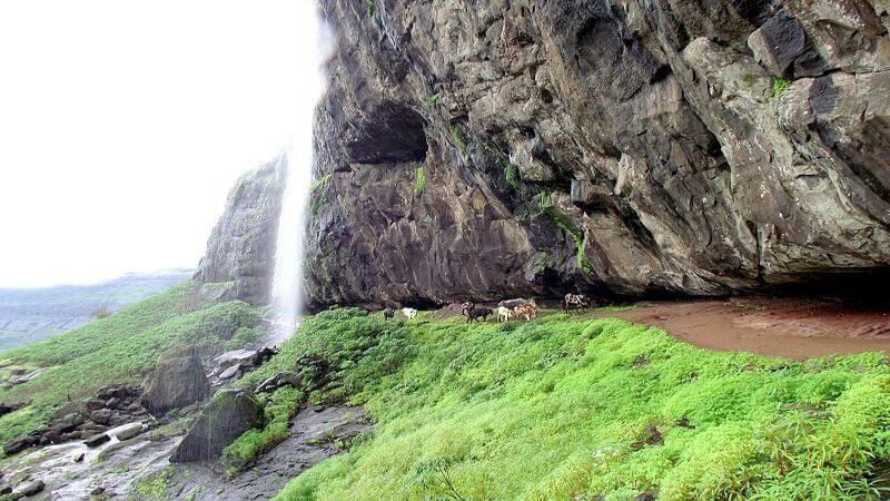 harishchandragad trek in monsoon