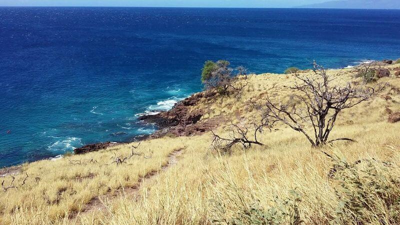 best beaches of Maui