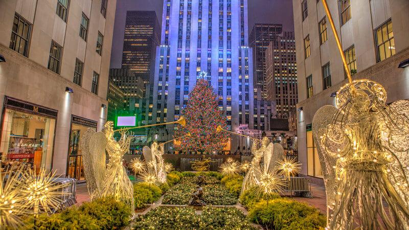 12 Best Christmas Trees In New York City: TripHobo