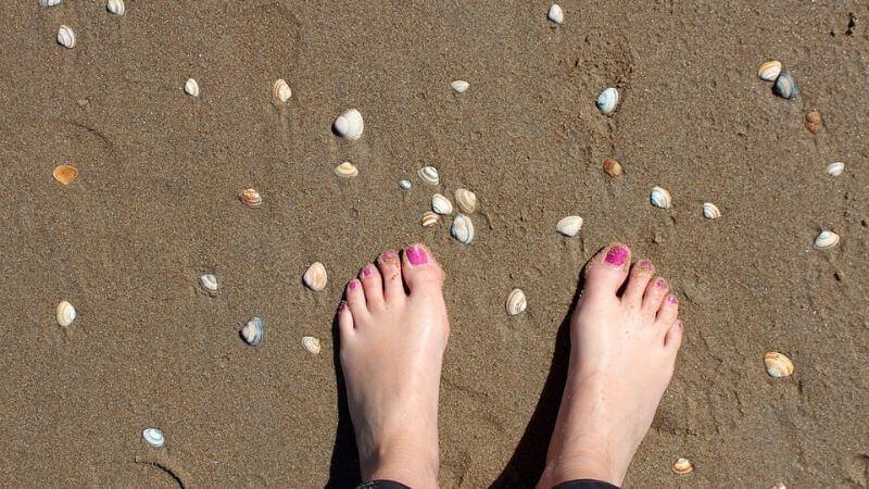 Barefoot Beach - sea shell hunters paradise