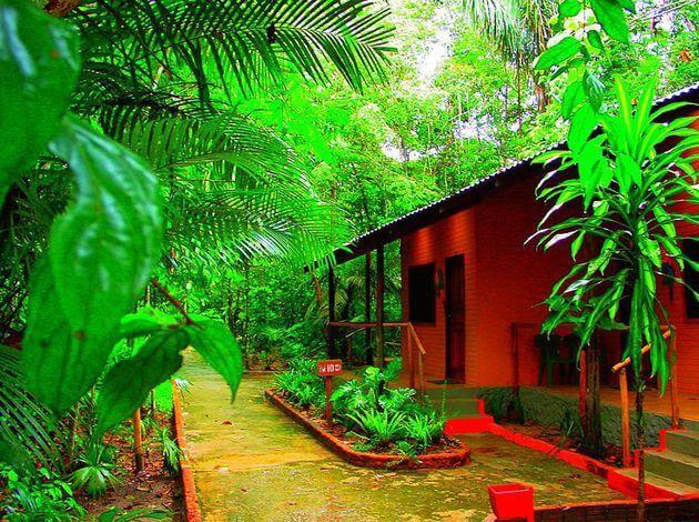 amazon rainforest travel packages