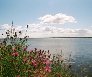 Horsens Fjord Tours