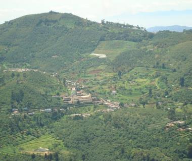 Green Valley View Tours