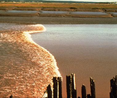Tidal Bore Tours
