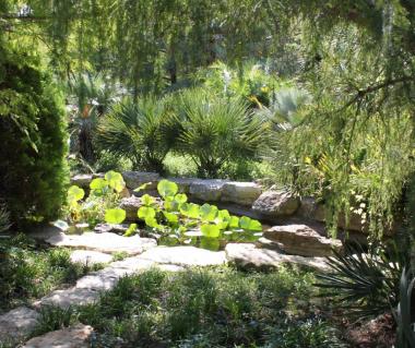The Botanic Garden Tours