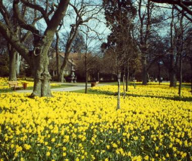 Hazlehead Park Tours