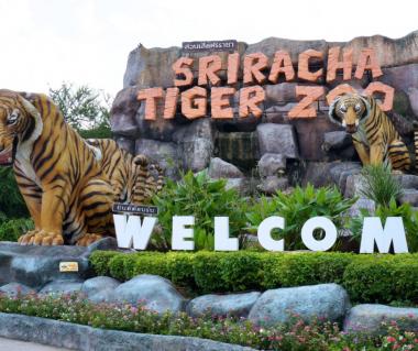 Sriracha Tiger Zoo, Pattaya, Thailand | Timings | Ticket Price ...