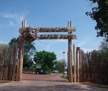 Ridiyagama Safari Park Tours, Ridiyagama | Ticket Price ...