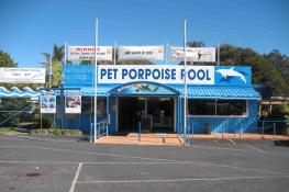Pet Porpoise Pool
