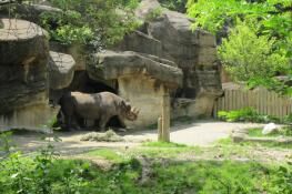 Cincinnati Zoo And Botanical Garden