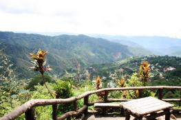 Mines View Park