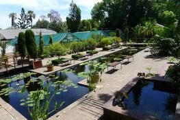 Botanical Garden At University Of Stellenbosch