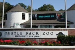 Turtle Back Zoo