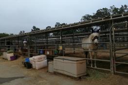 Serrano Creek Ranch Equestrian Center 