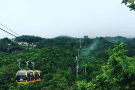 Parque Forestal La Marquesa