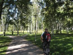 Esplanadi Park Image