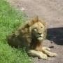 Arusha National Park Image