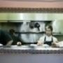 Expresion Cultural Cafe Restaurante Image