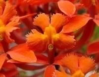 Jardin Botanico Image
