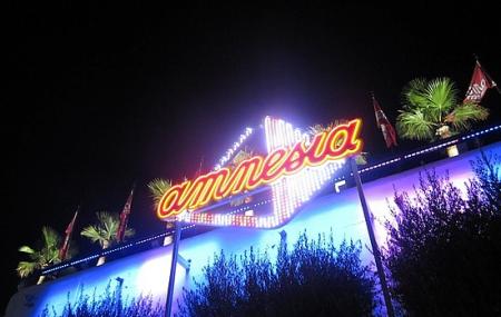 Club Amnesia Image