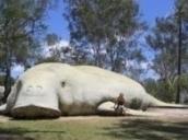 Aboriginal Cultural Centre Image