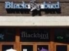 Blackbird Buvette Image