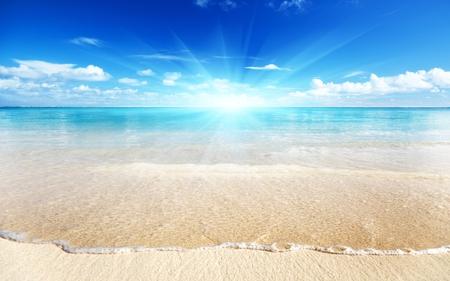 Sunshine Beach Image