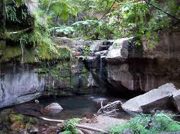 Carnarvon National Park Image