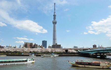 Tokyo Sky Tree Image