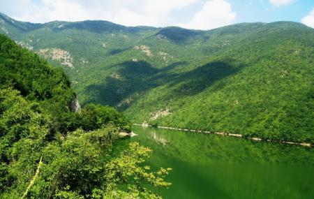 Vodno Mountain Image