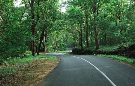 Evening Nature Drive On Madikeri Road Image